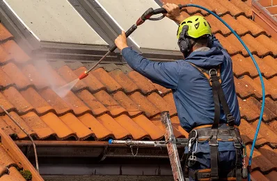 Démoussage et hydrofuge de toiture à Trébrivan